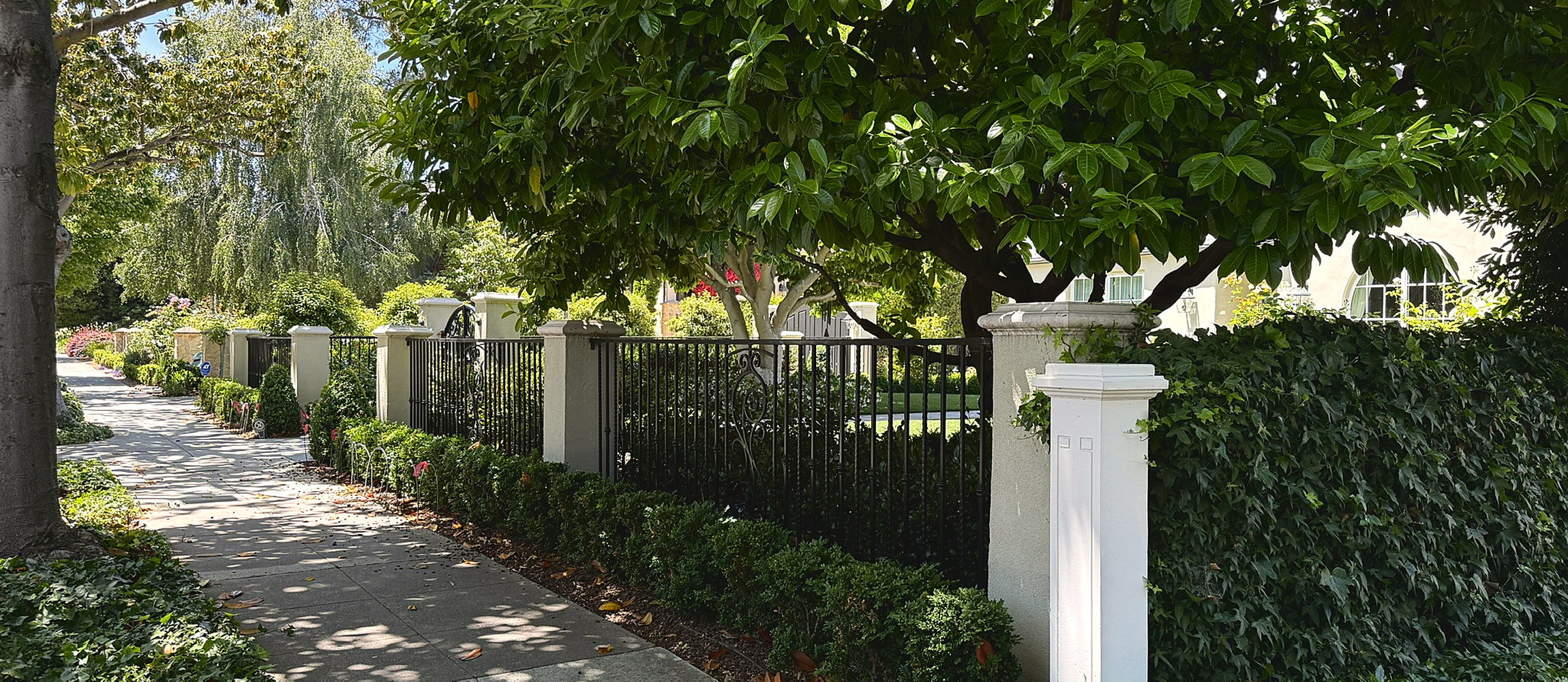 A Palo Alto sidewalk in dappled light, running past a clipped hedge, an iron fence and an ivy-covered wall