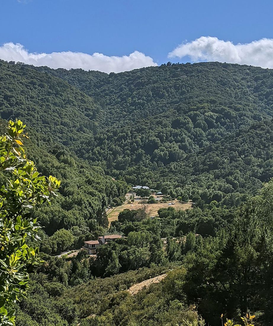 Wooded hills around the Adobe Creek headwaters at Hidden Villa