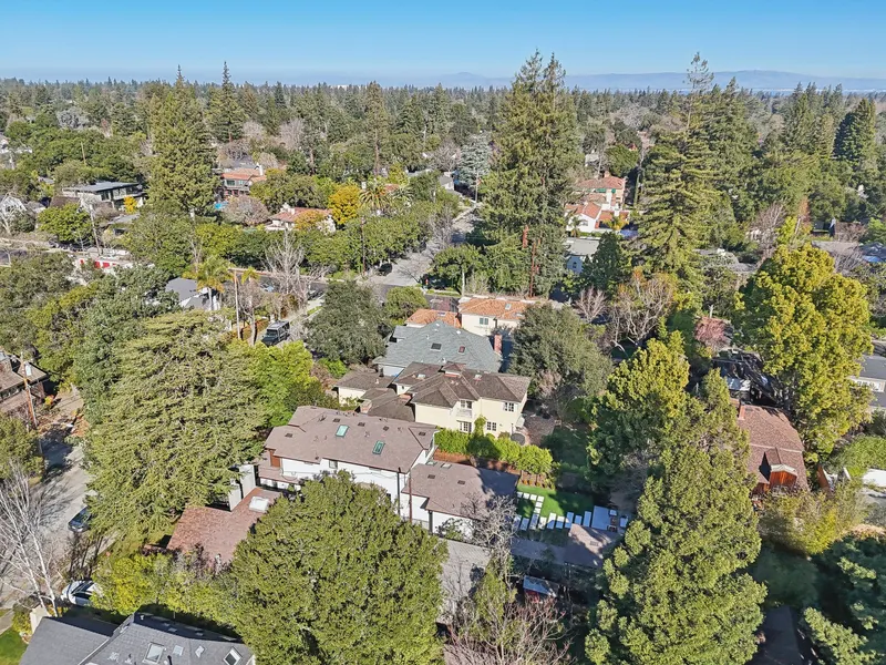 Rooftops under the tree canopy in Old Palo Alto, seen from the air